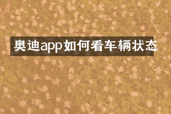 奥迪app如何看车辆状态