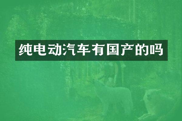 纯电动汽车有国产的吗