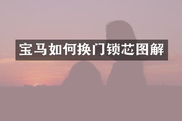 宝马如何换门锁芯图解