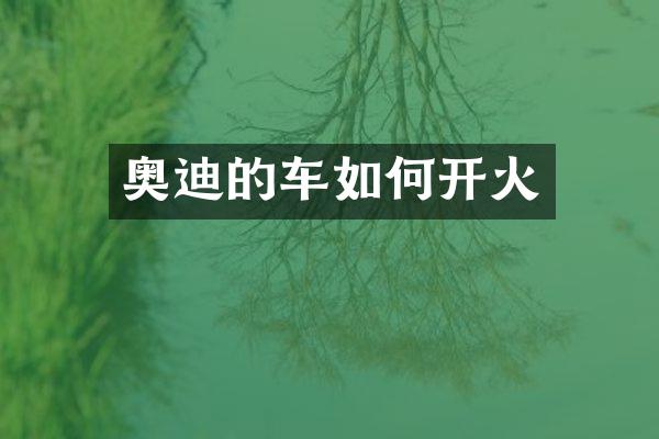 奥迪的车如何开火