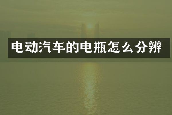 电动汽车的电瓶怎么分辨