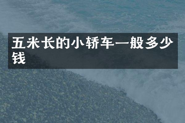 五米长的小轿车一般多少钱