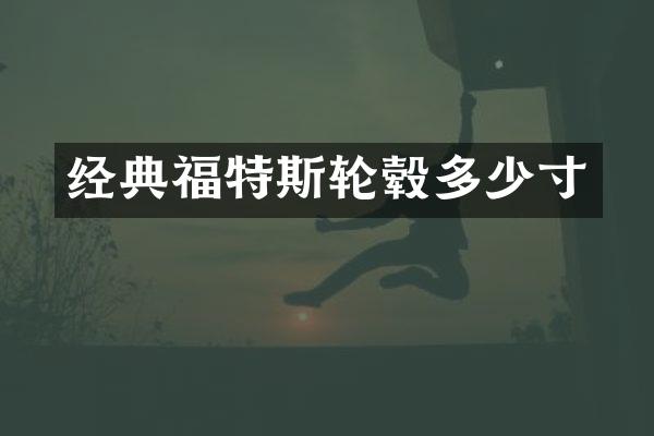 经典福特斯轮毂多少寸