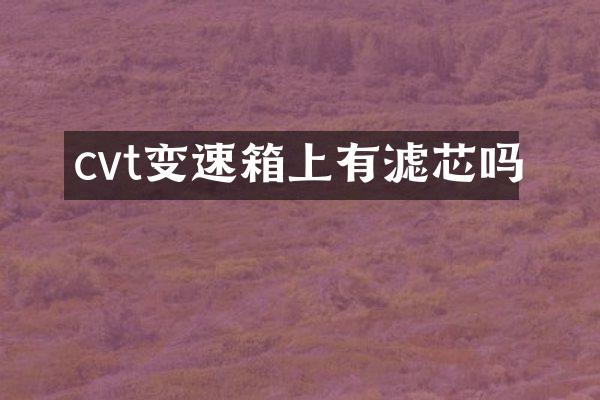 cvt变速箱上有滤芯吗