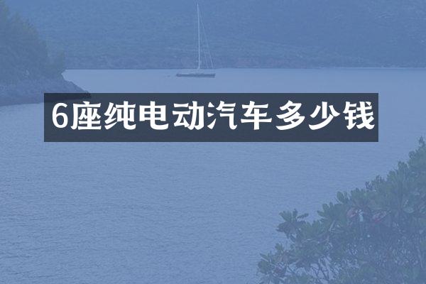 6座纯电动汽车多少钱