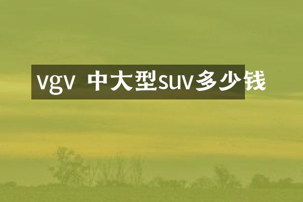 vgv 中大型suv多少钱
