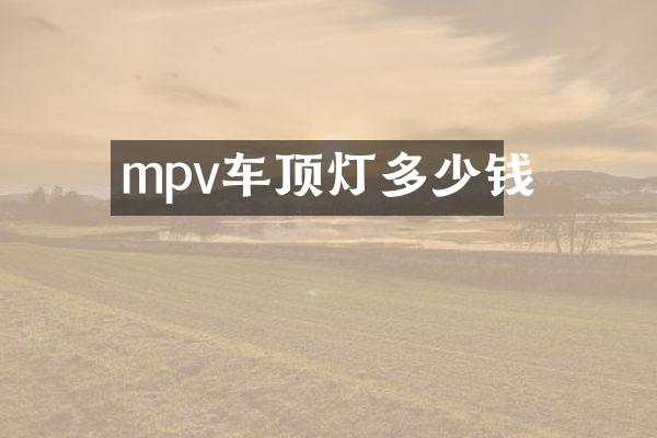 mpv车顶灯多少钱