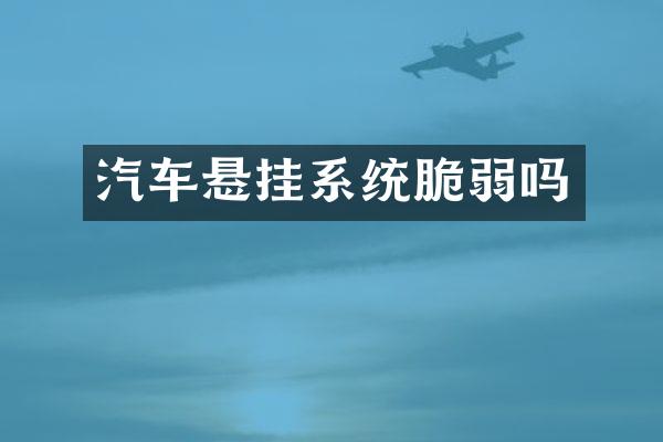 汽车悬挂系统脆弱吗