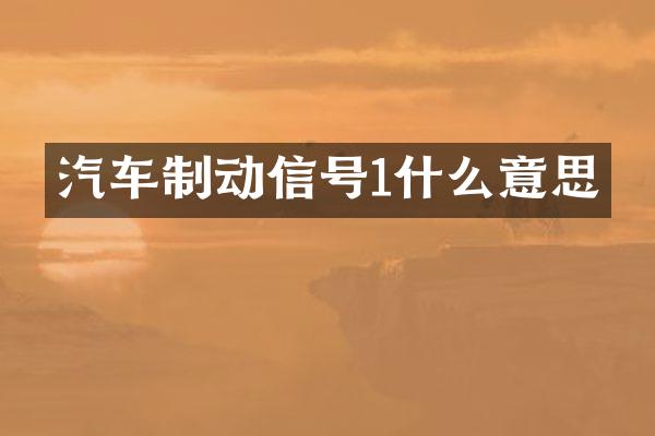 汽车制动信号1什么意思