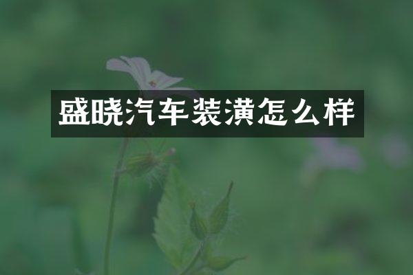 盛晓汽车装潢怎么样