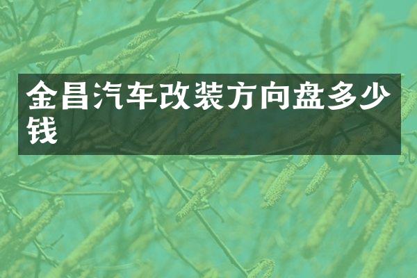金昌汽车改装方向盘多少钱