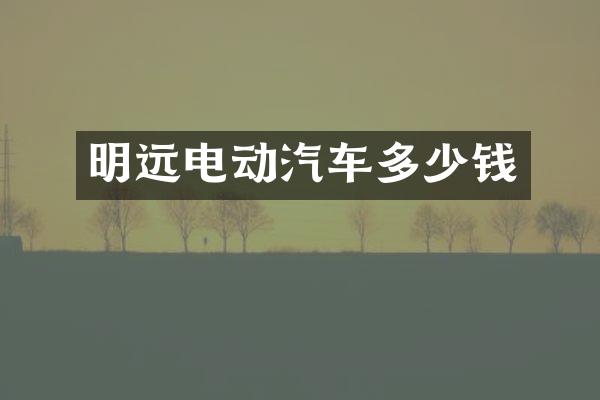 明远电动汽车多少钱