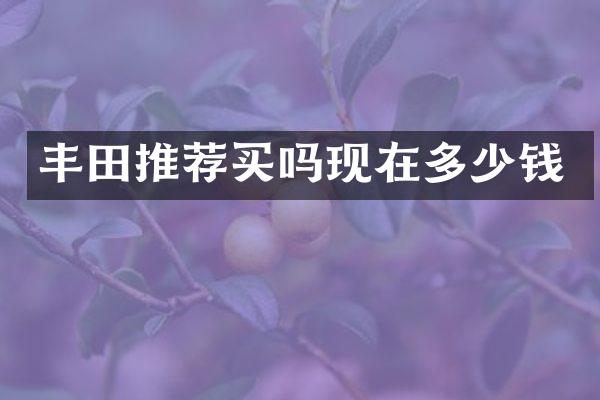 丰田推荐买吗现在多少钱