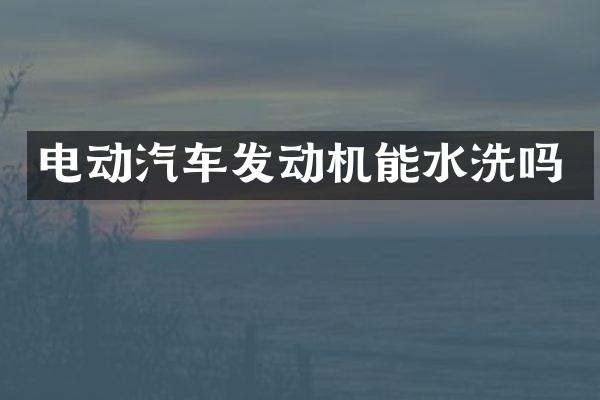 电动汽车发动机能水洗吗