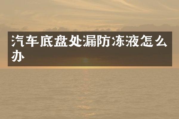 汽车底盘处漏防冻液怎么办