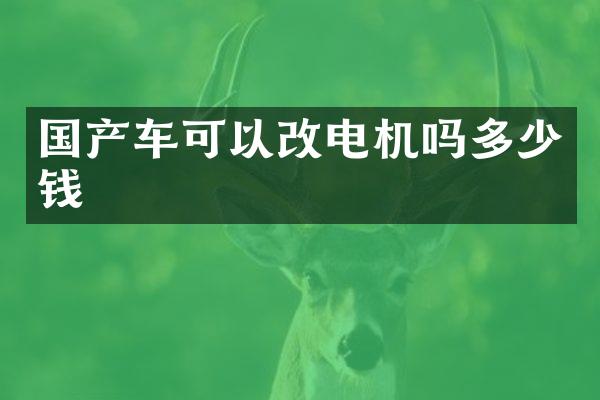 国产车可以改电机吗多少钱