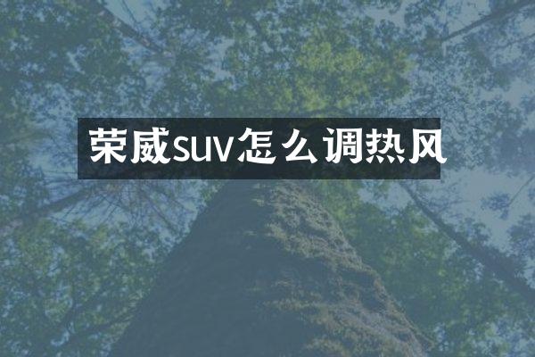荣威suv怎么调热风