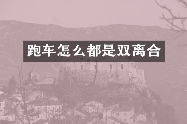 跑车怎么都是双离合