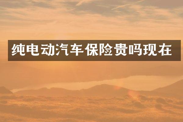 纯电动汽车保险贵吗现在