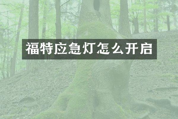 福特应急灯怎么开启