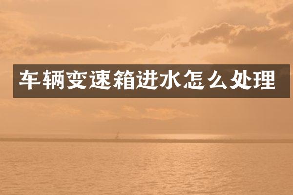 车辆变速箱进水怎么处理