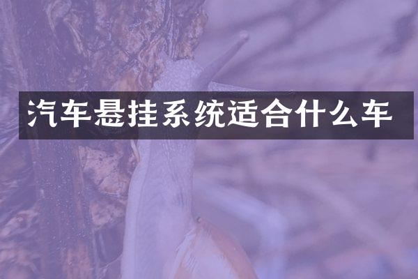 汽车悬挂系统适合什么车