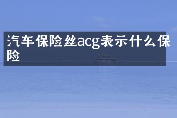 汽车保险丝acg表示什么保险