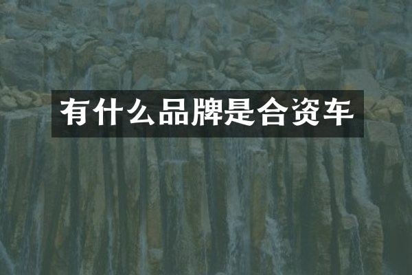 有什么品牌是合资车