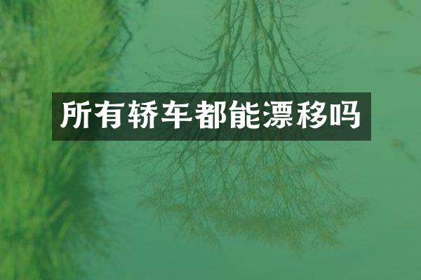 所有轿车都能漂移吗