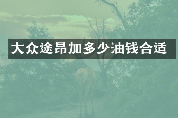 大众途昂加多少油钱合适