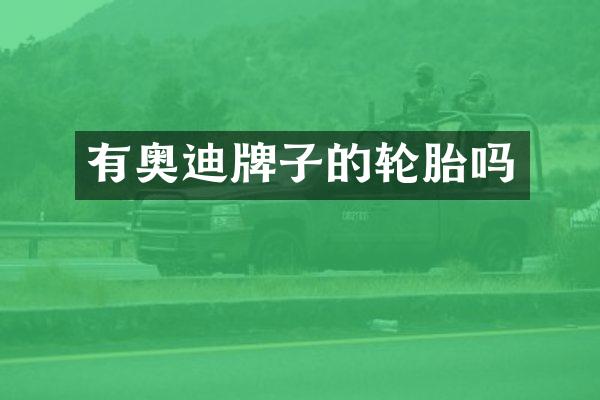 有奥迪牌子的轮胎吗