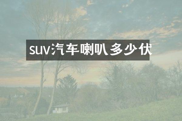suv汽车喇叭多少伏