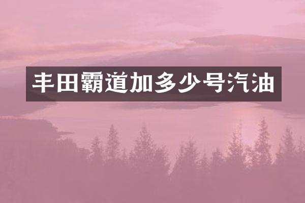 丰田霸道加多少号汽油