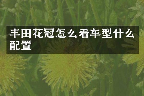 丰田花冠怎么看车型什么配置