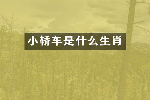 小轿车是什么生肖