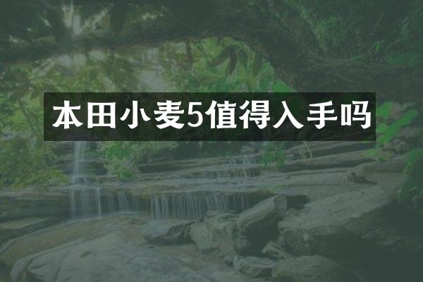 本田小麦5值得入手吗