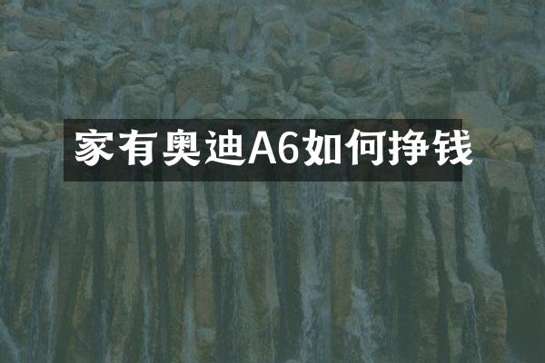 家有奥迪A6如何挣钱
