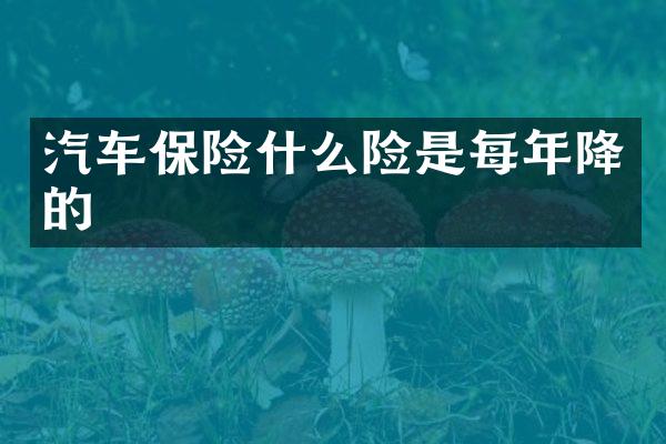 汽车保险什么险是每年降的