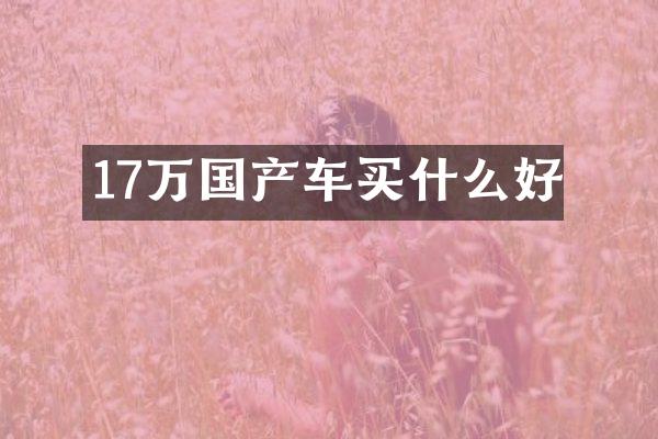 17万国产车好