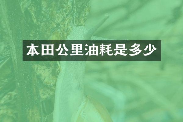 本田公里油耗是多少
