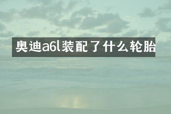 奥迪a6l装配了什么轮胎