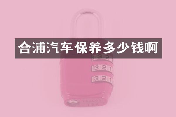 合浦汽车保养多少钱啊