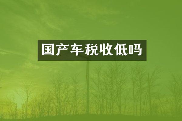 国产车税收低吗