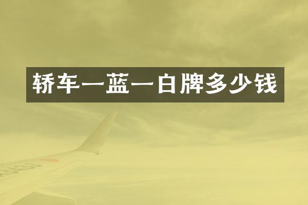 轿车一蓝一白牌多少钱