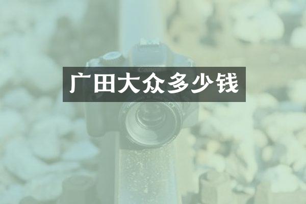 广田大众多少钱