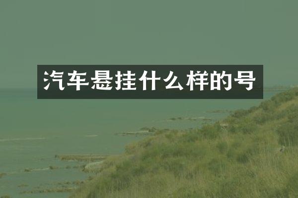 汽车悬挂什么样的号