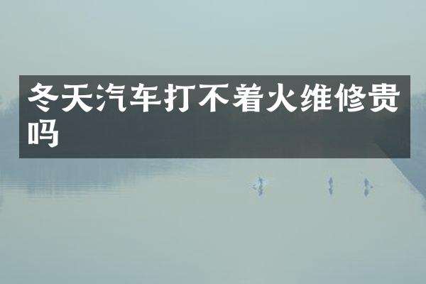冬天汽车打不着火维修贵吗
