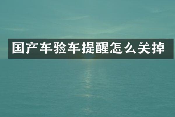国产车验车提醒怎么关掉