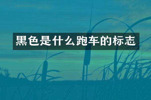 黑色是什么跑车的标志