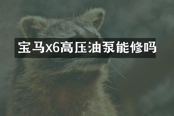 宝马x6高压油泵能修吗